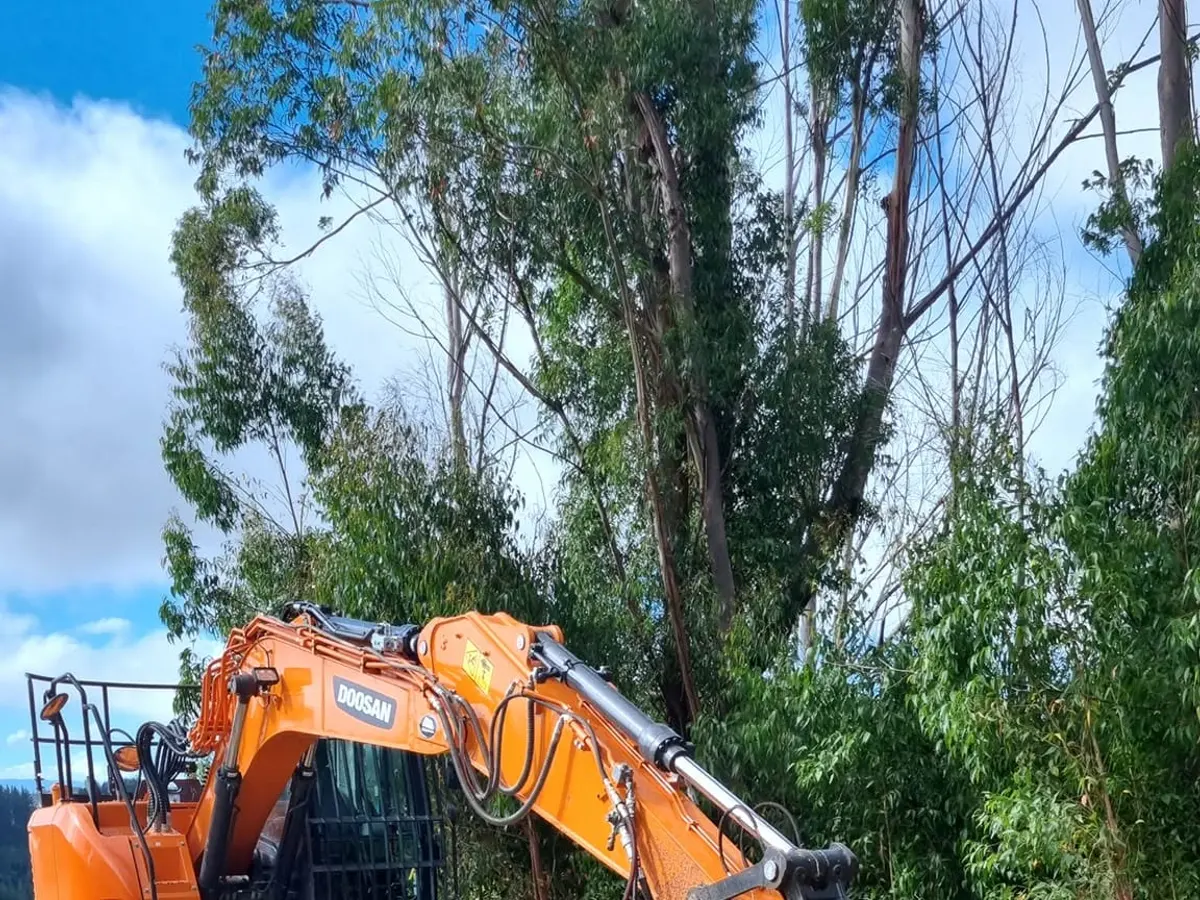 Forestry Mulching & Scrub Clearing, R K Contracting